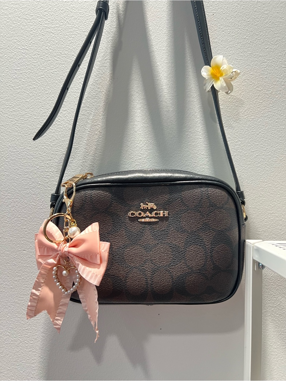 Coach Brown Signature Crossbody Bag